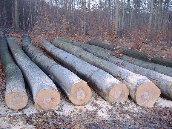 實木衣架材質(zhì)