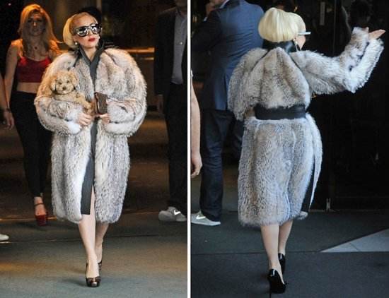 貂皮為什么用木衣服掛