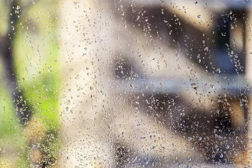 衣柜里衣架上有爬蟲