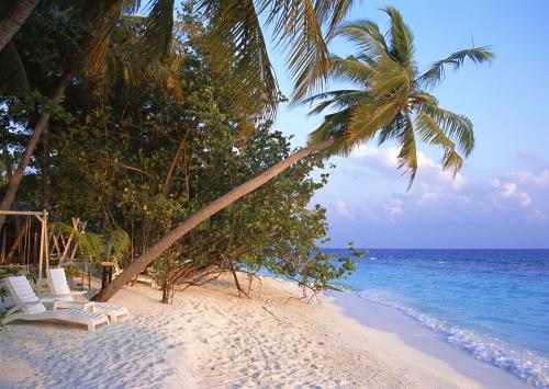 海南實(shí)木衣架