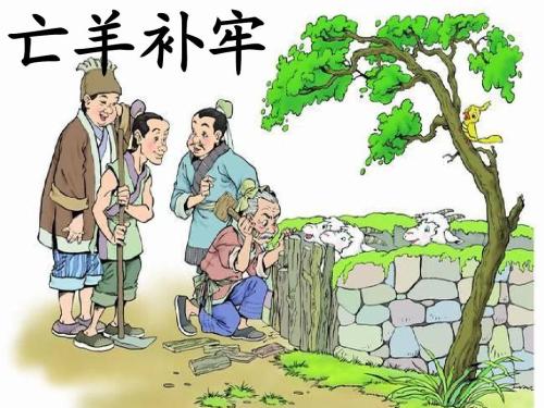 褲架蟲(chóng)蛀怎么辦