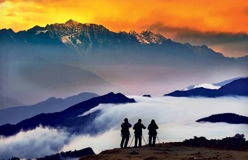 實木內硅膠防滑衣架