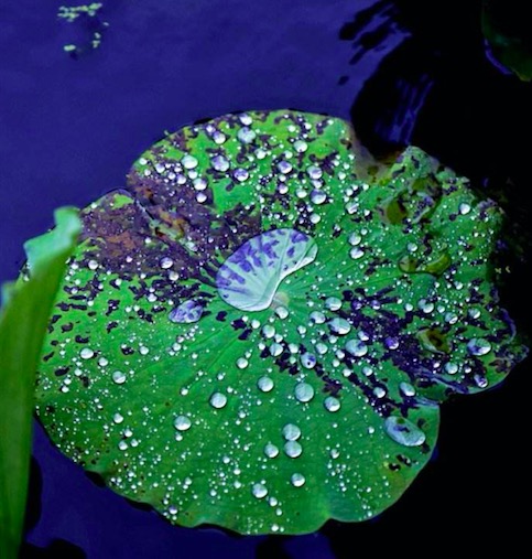 褲架老發(fā)霉怎么辦